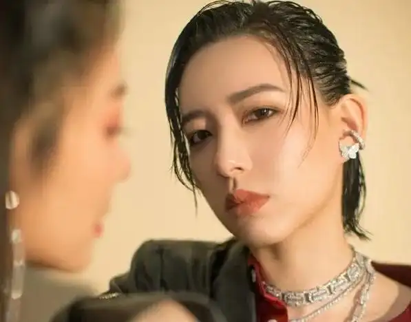 《快乐女声》到《浪姐》,回顾李斯丹妮的走红之路,走红靠积累