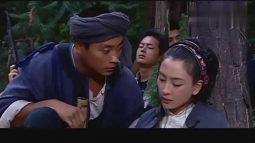 大西南剿匪记众人终于打下了大院但是自己也伤亡惨重