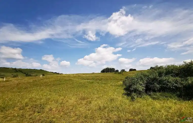草原风景--乌兰布统,华为p30手机拍摄