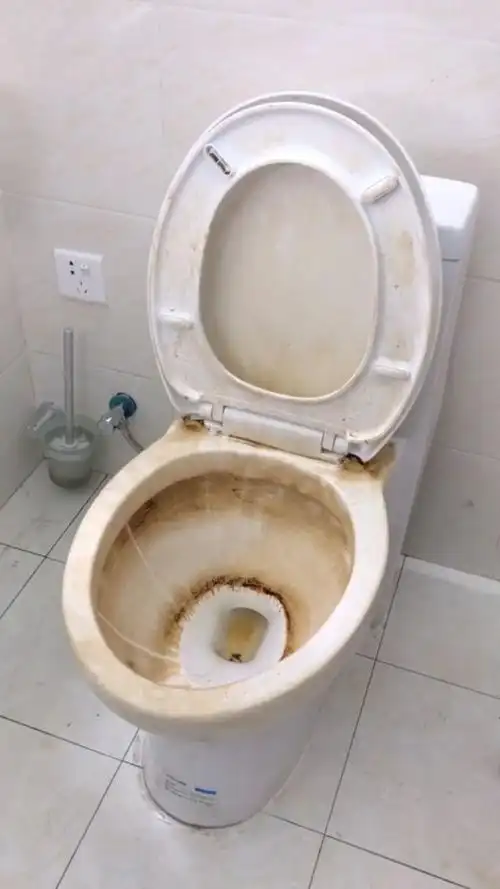 马桶很脏该怎么办?