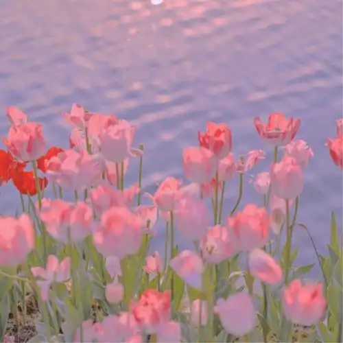 让人过目不忘的头像 高清好看高雅有气质的微信头像图片_微信头像