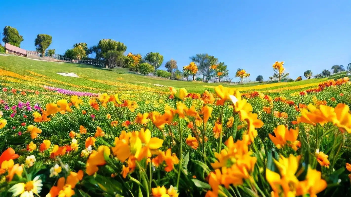 99风景壁纸4k超清,探索自然宝藏92