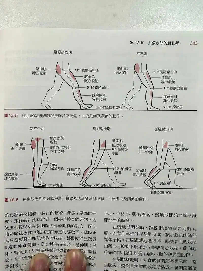 正确走路姿势,你真的能做到吗?99请耐心看完!99 - 很多 - 抖音