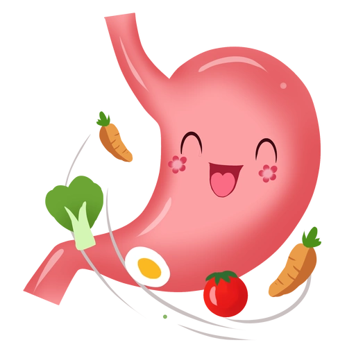 壹邦健康小知识:如何科学养胃?这5个饮食习惯很重要