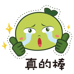 海口菜篮子上央视新闻联播了春节买菜不担心平价菜供应管