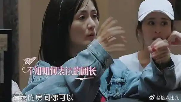 谢娜|魏大勋|妻子的浪漫旅行_新浪新闻