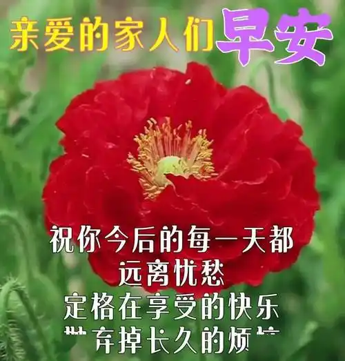 幸福的味道在最早的祝福中快乐升级,亲爱的,早上好