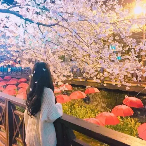 50l杂头 | 流过的眼泪是爱情毕业的学费 - 第4页 - qq头像 - zeze!