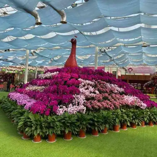 植物种类繁多,."-大众点评移动版