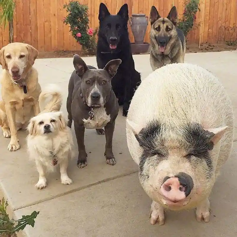 据说这就是你跟你好友的合照 [三哈]   【搞笑】