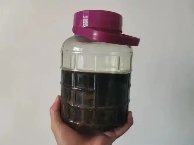 钓鱼"六君子"药酒,很多人都泡烂了!选材和制作也是重中之重