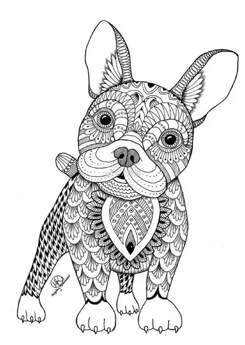 ▽线描画素材 动物系列高级班 儿童画素材参考#方老师画画#儿童线描画