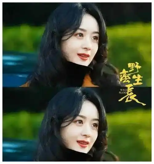 冯绍峰喜不自禁赵丽颖风采无限嘉人成就令人惊叹