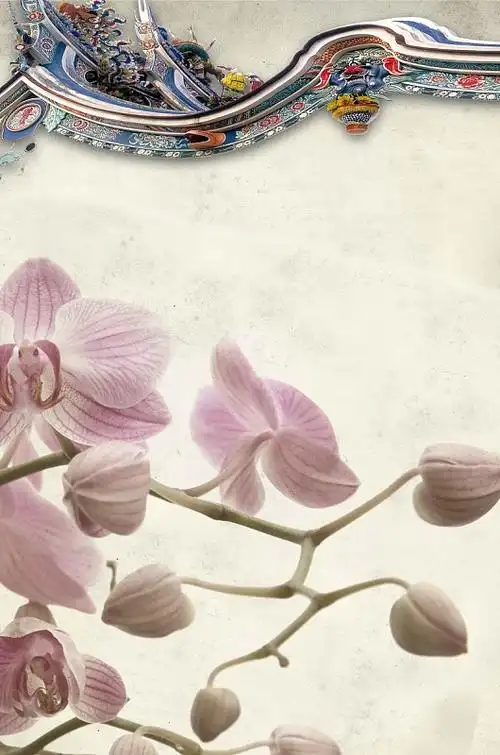 宫廷房檐梅花背景