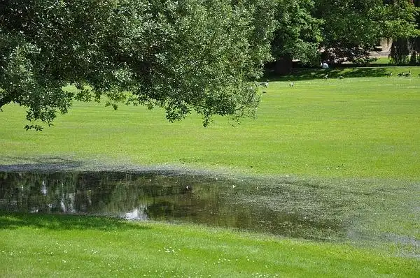 ryan的相册-剑桥一日