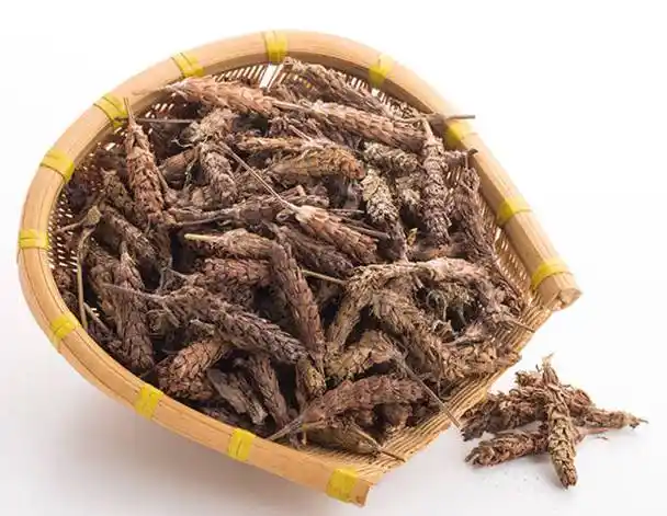 夏枯草,夏枯草的食用方法(夏枯草怎样吃效果好)_娜娜经验网