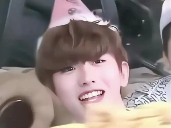 【蔡徐坤】一只戴粉色生日帽的小猫咪