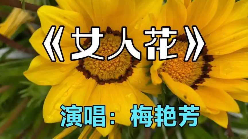 梅艳芳经典歌曲《女人花》旋律优美,女人如花花似梦.