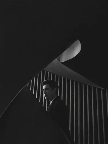 胡歌黑白的世界