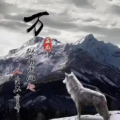 狼主题微信头像:你的姓氏不该这么平淡,与狼共舞霸气尽显