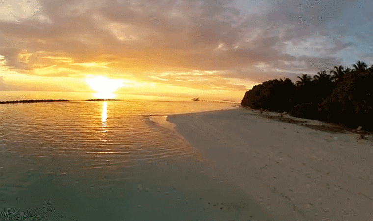 动态图片影视曲艺网站工具天下美食寻医问药动图基地透明素材随me网址