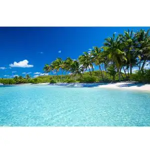 海边沙滩风景画价格