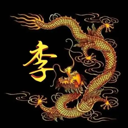 山不在高有仙则名,水不在深有龙则灵,中国龙姓氏头像