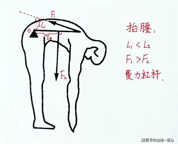 原创踮脚动作明明很费力为什么是省力杠杆中考物理必考知识点归纳