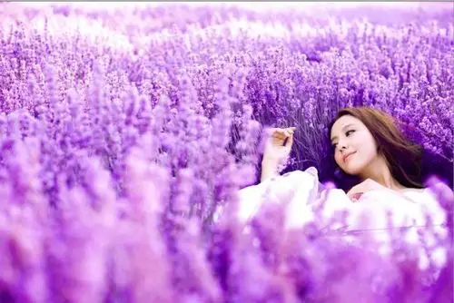 佟丽娅紫色花海唯美写真翩若仙子 网友直呼太美腻