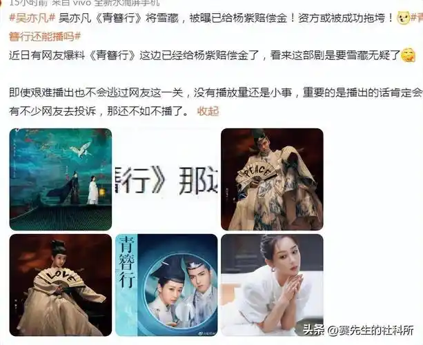 但因为男主邓伦涉嫌偷税漏税而被下架.《香蜜沉沉烬如霜》挺出圈.