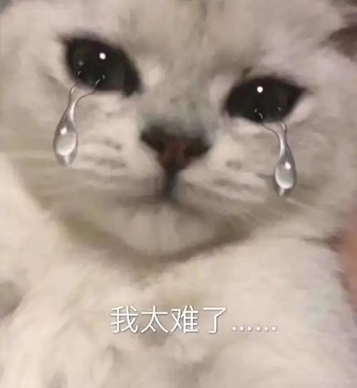 萌宠猫星人我太难了难受呆萌可爱gif动图_动态图_表情包下载_soogif
