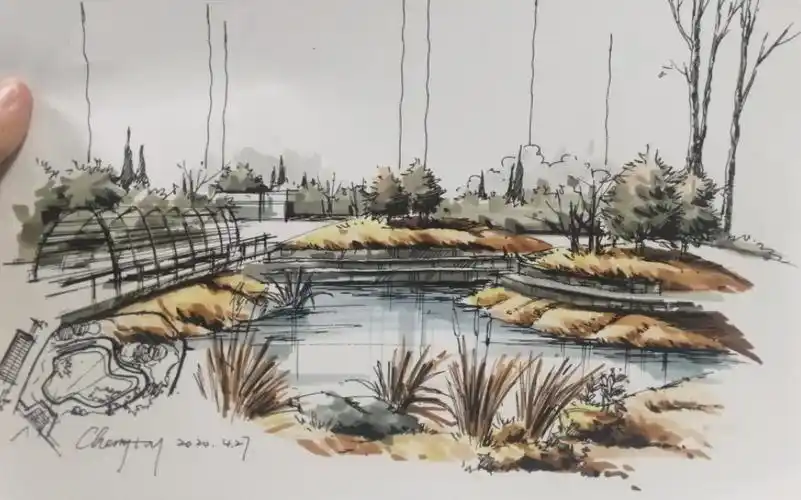 风景园林考研快题表现雨水花园