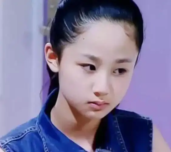 《家有儿女》的成功,并没有对杨紫当时的事业,提供太大的帮助.