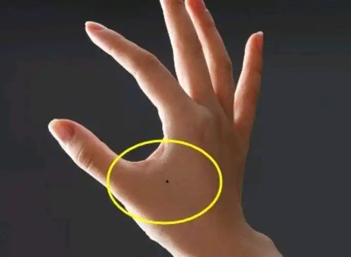 手掌尾部有痣的女人(手掌尾部有痣的女人好不好)