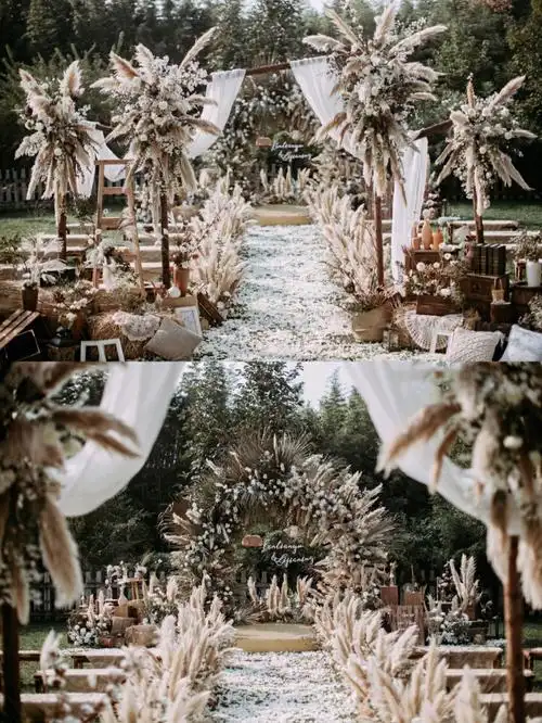 高级感拉满了秋日限定ins风芦苇婚礼