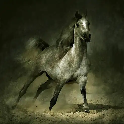 万马奔腾迎新年