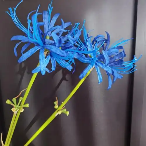 2叉彼岸花家居样板间影棚婚纱影楼拍照道具仿真花假花装饰批发