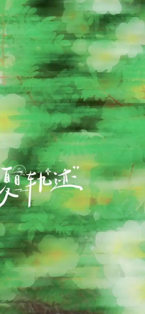 治愈的绿色壁纸