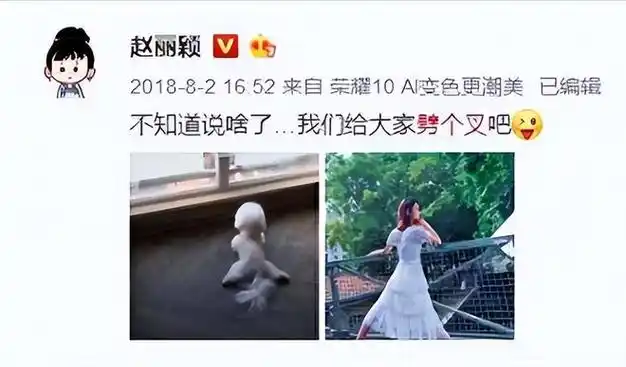 更有甚者还称赵丽颖当时已经怀孕了.