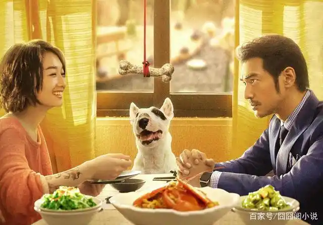 金城武,周冬雨主演的电影《喜欢你》将拍剧版,原著小说你看了吗