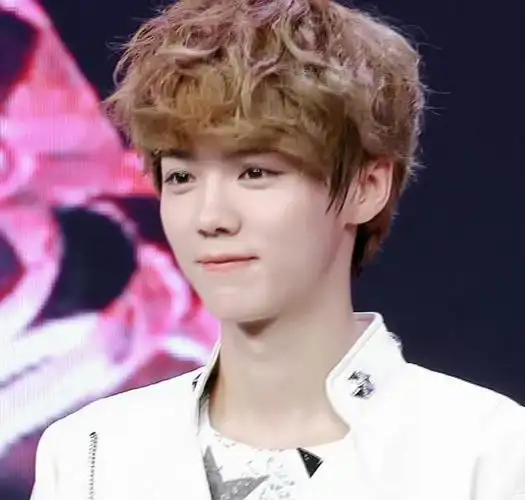 240220卷毛鹿登场粉丝心中永恒的萌宠鹿晗