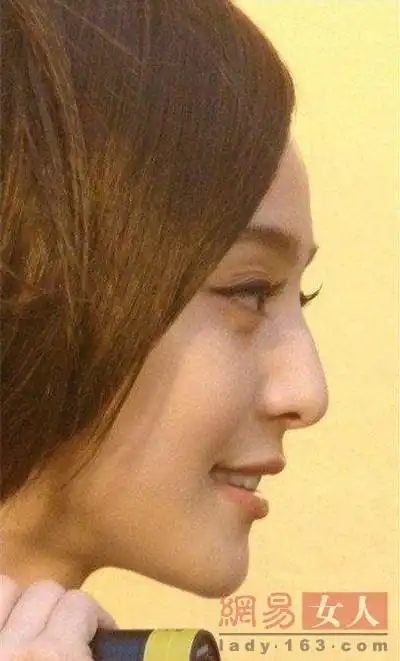范冰冰刘亦菲长"驼峰鼻"挺漂亮