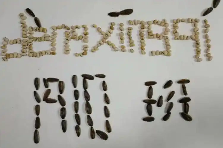 1910班名字拼音创意秀