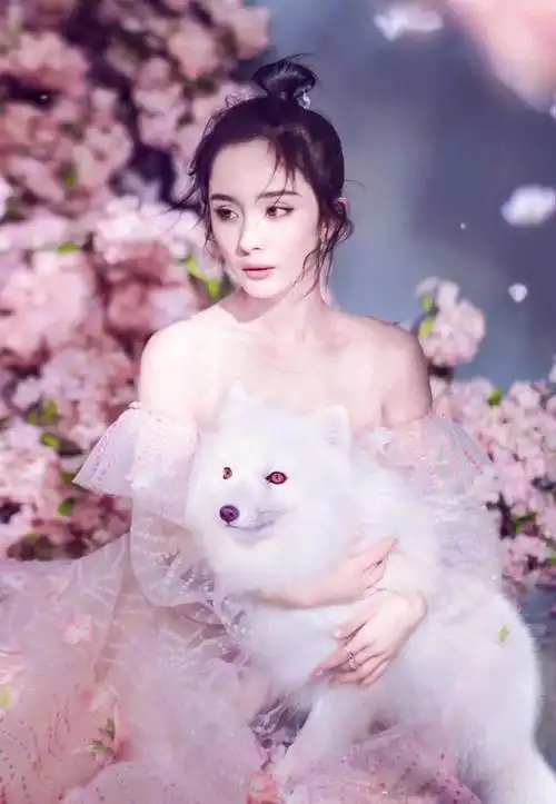 头条问答 - 两位"白浅上神"杨幂和刘亦菲先后登上《时尚芭莎》封面,你