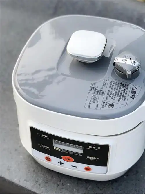 苏泊尔车载电饭煲电饭锅-悠然见南山