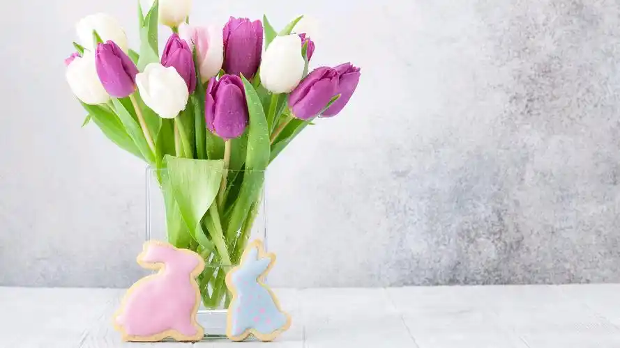 小清新喜欢的电脑壁纸