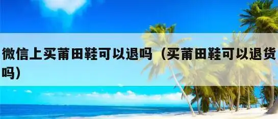 知道啥莆田假鞋 但还是在微信上买了 发过来是坏的 怎么投诉?