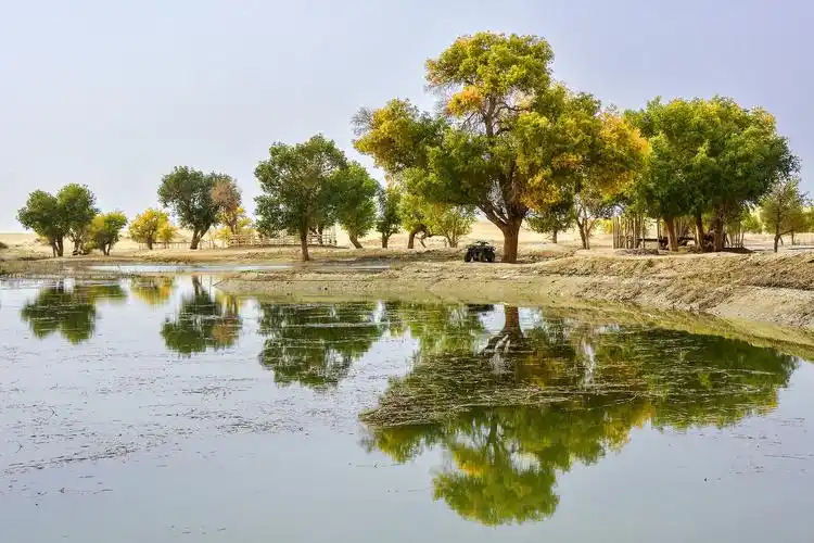 新疆罗布泊人村寨