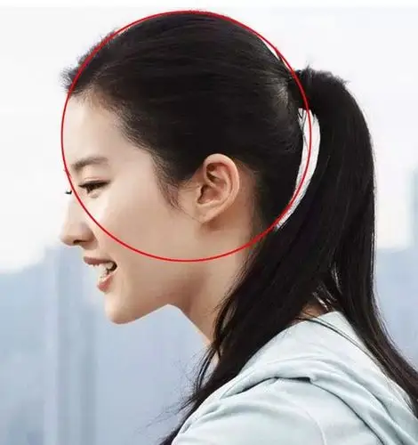 杨祁索: 刘亦菲的骨相f常标准.