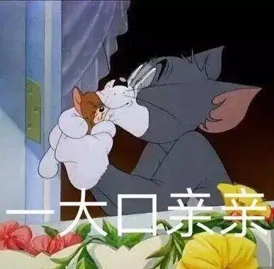表情包猫和老鼠怎么有点恩恩爱爱噢